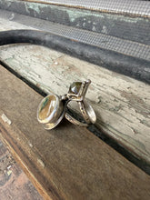 Load image into Gallery viewer, Nature Lovers Ring