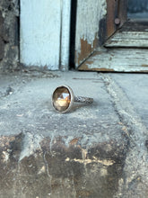 Load image into Gallery viewer, Dream of Spring
